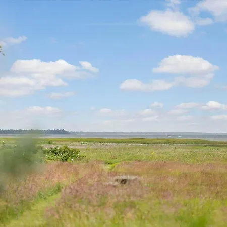 別荘 Oh503-hadsund-korsikanerskoven-3 *
