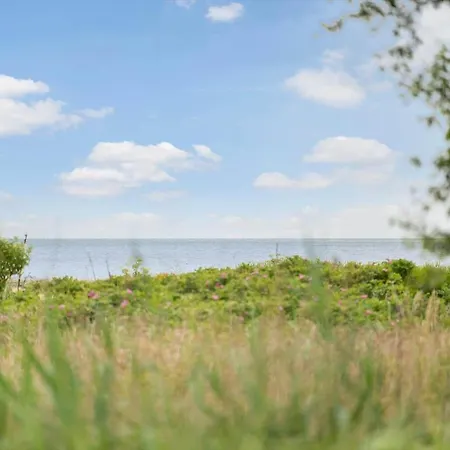 Oh503-hadsund-korsikanerskoven-3 * Hadsund
